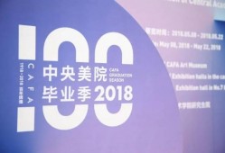 中央美院爆料视频下载,揭秘艺术教育背后的真相