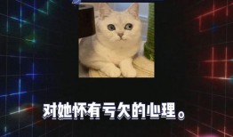 娱乐圈八卦吃瓜直播间,揭秘直播间的八卦盛宴