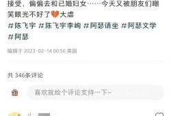 陈飞宇爆料后续视频,揭秘事件真相与幕后故事