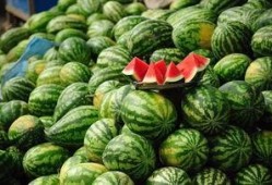 泰国西瓜最新爆料消息