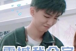 娱乐圈爆料王俊凯事件,娱乐圈爆料王俊凯事件真相揭秘