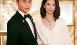 娱乐圈爆料模板大全最新,揭秘明星背后的惊人真相！