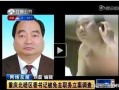 63秒视频在线观看,精彩瞬间一网打尽