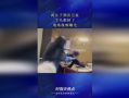 最新羊毛爆料视频大全图片,视频大全图片揭秘热门项目
