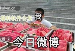 热门吃瓜爆料视频大全下载,热门吃瓜爆料视频大全，揭秘娱乐圈幕后真相