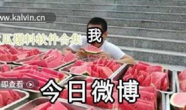 热门吃瓜爆料视频大全下载,热门吃瓜爆料视频大全，揭秘娱乐圈幕后真相