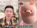 内娱搞笑爆料大全图片视频,笑料百出，图视频齐飞，揭秘娱乐圈幕后趣闻