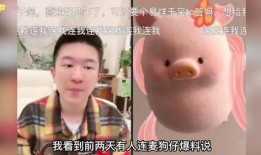 内娱搞笑爆料大全图片视频,笑料百出，图视频齐飞，揭秘娱乐圈幕后趣闻